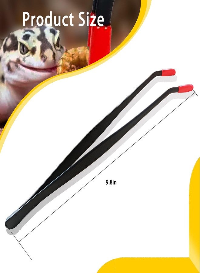 Repticircle 2 Pcs Reptile Feeding Tongs - Stainless Steel Aquarium Tweezers with Rubber Tips, Straight & Curved Long Handle for Bearded Dragons, Lizards, Snakes, Spiders & Terrarium Feeding - Image 4